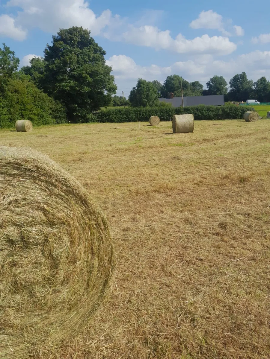 Hay and Silage bales - Image 2