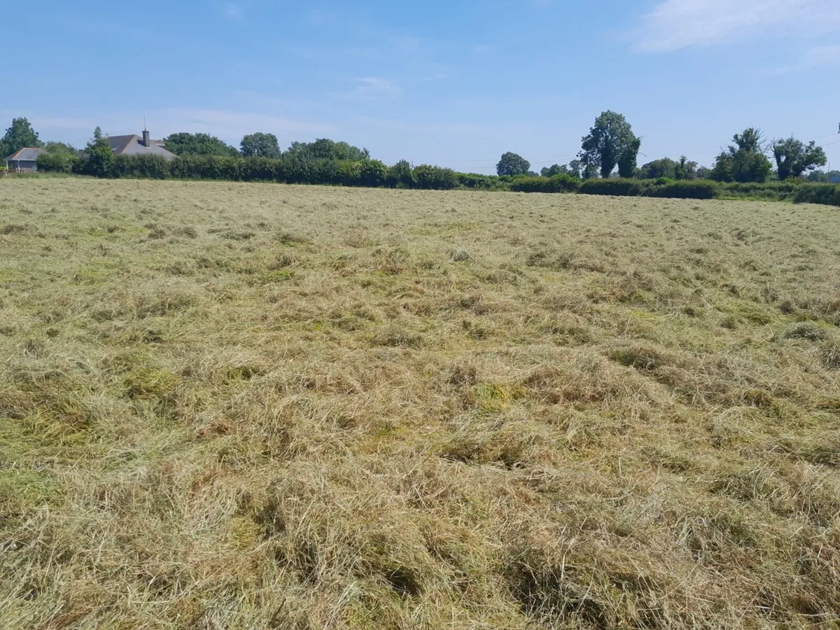 Hay and Silage bales - Image 3