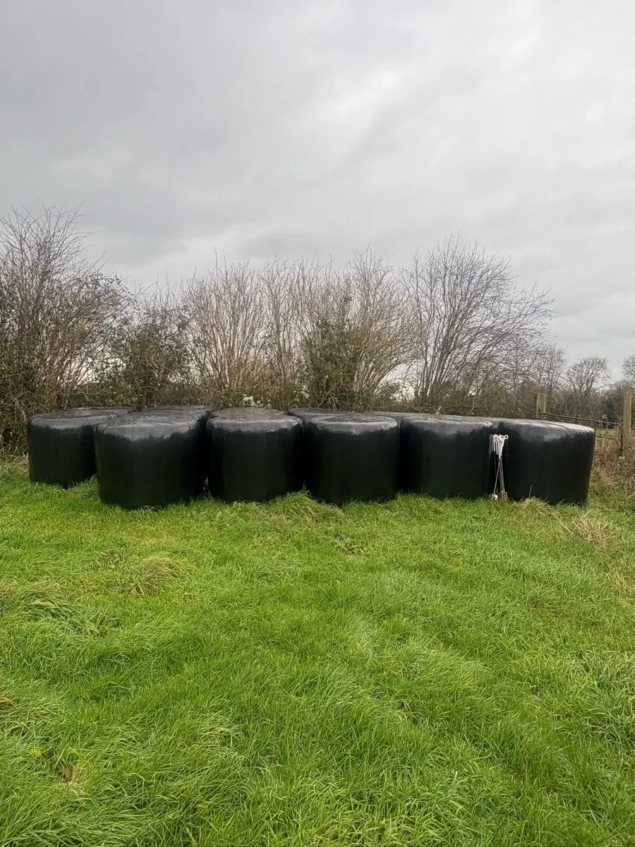 Hay and Silage bales - Image 4