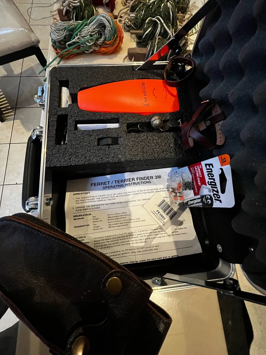 Ferret finder - Image 2