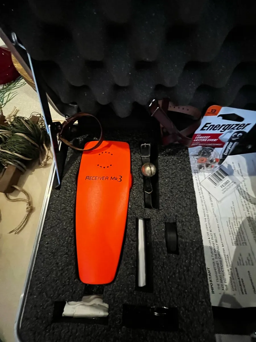 Ferret finder - Image 1