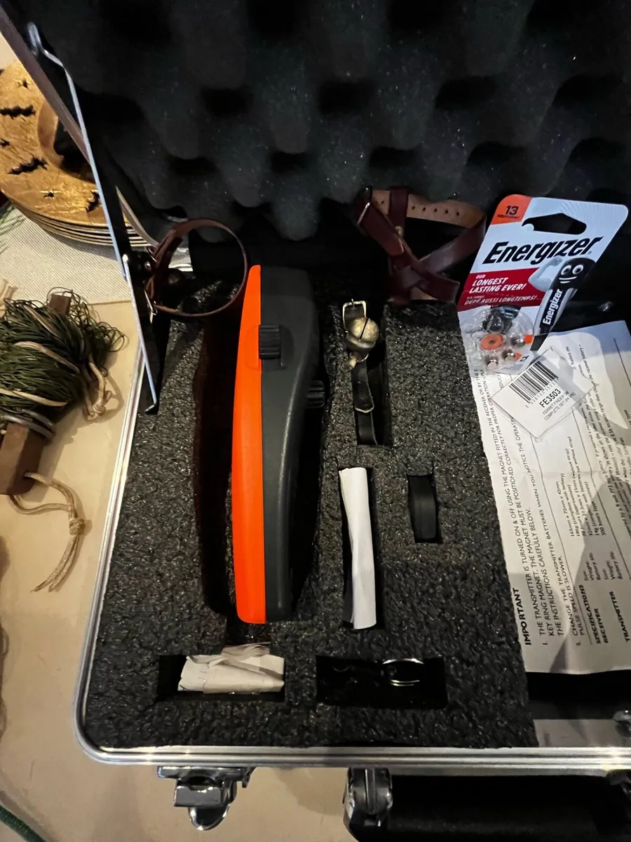 Ferret finder - Image 4