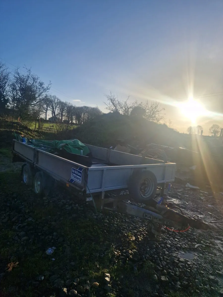 14 by 6,6 Ifor Williams - Image 2