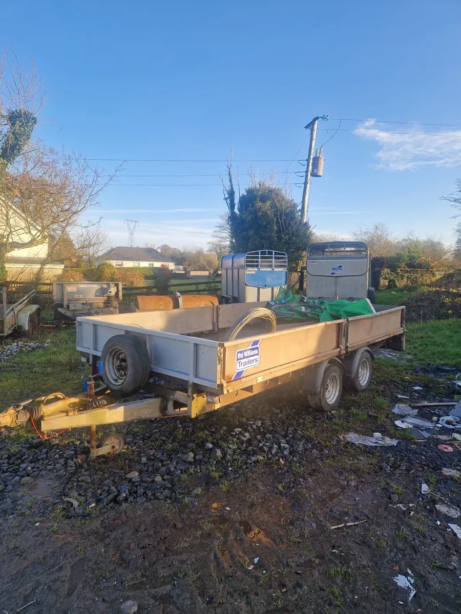 14 by 6,6 Ifor Williams - Image 3