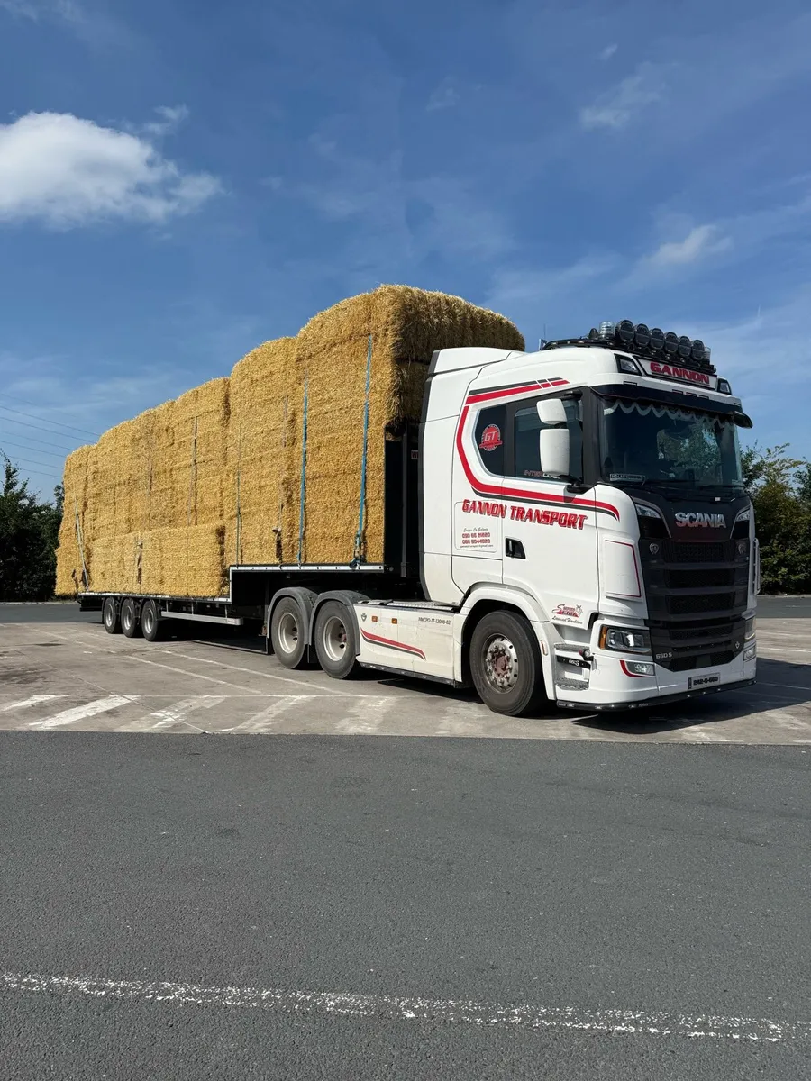 Barley & wheaten 8x4x3 - Image 3