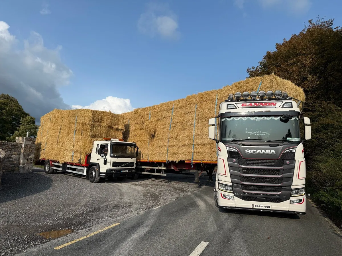 Barley & wheaten 8x4x3 - Image 4