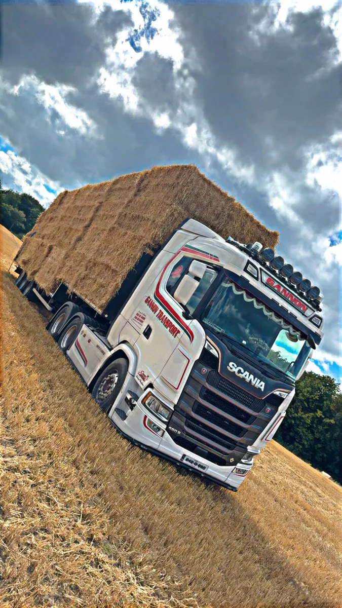 Barley & wheaten 8x4x3 - Image 1