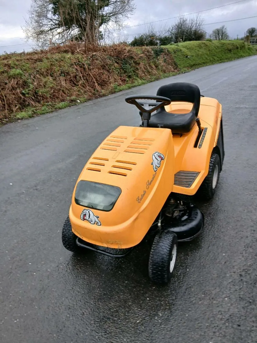 Lawnmower - Image 2