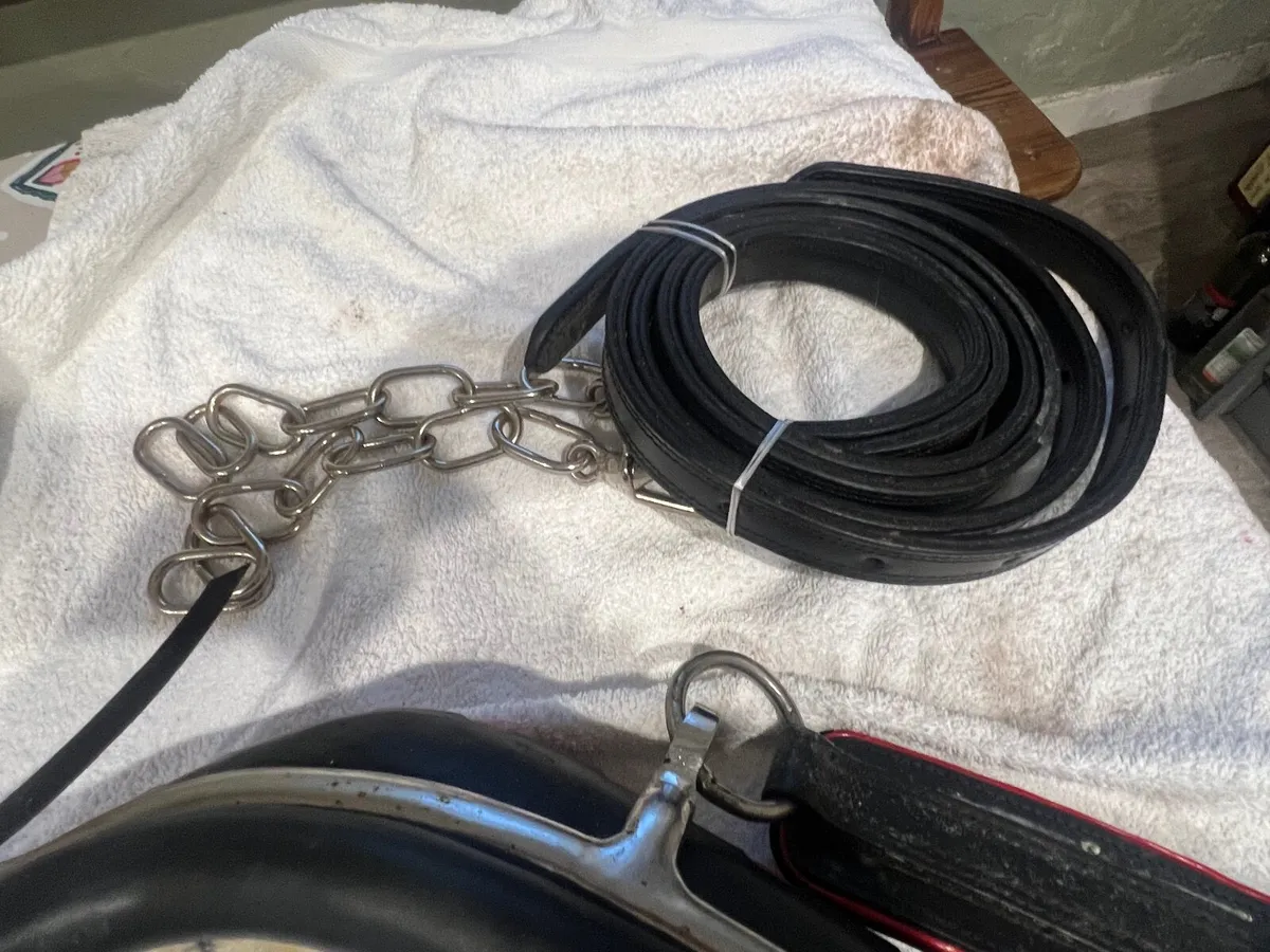 Horse driving tack - Image 1