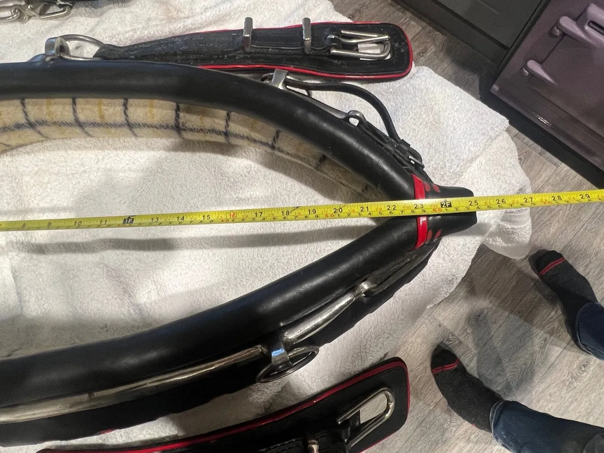 Horse driving tack - Image 2