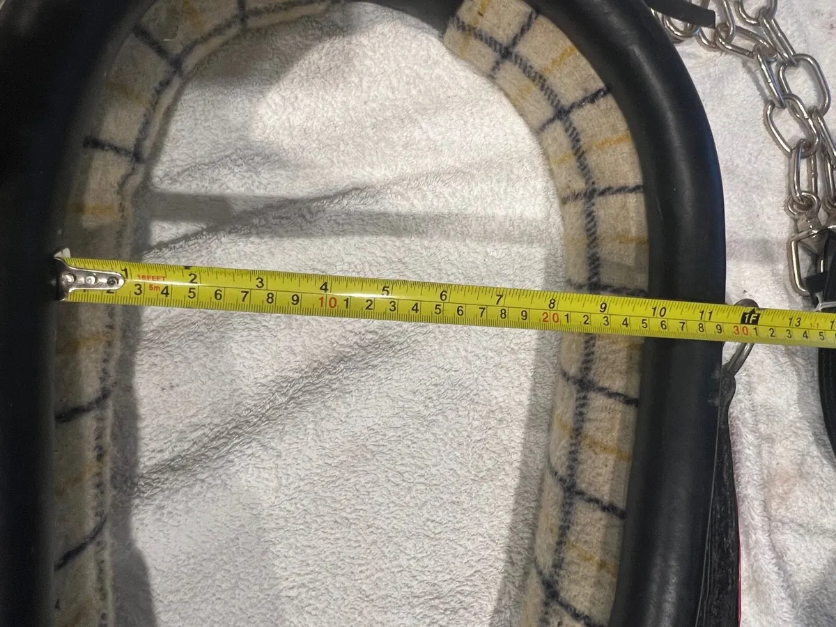 Horse driving tack - Image 3