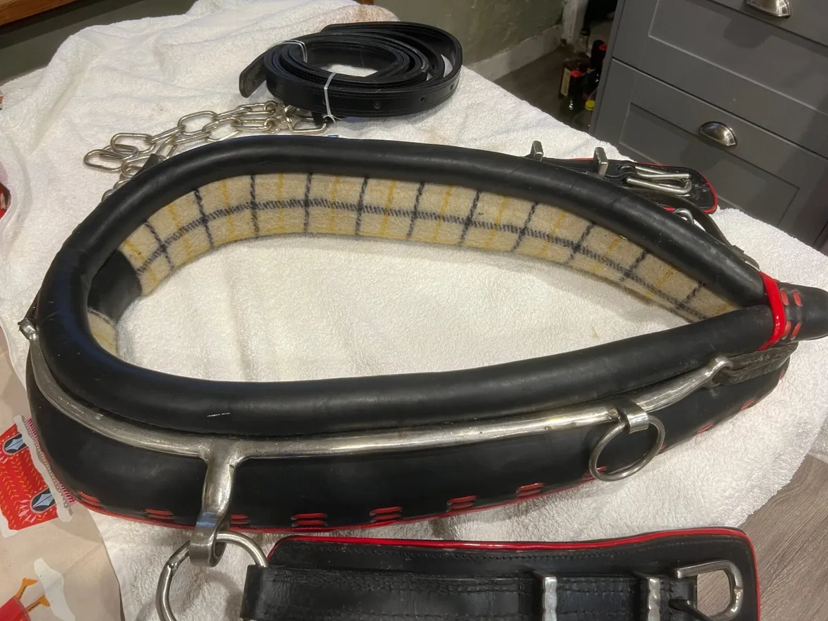 Horse driving tack - Image 4