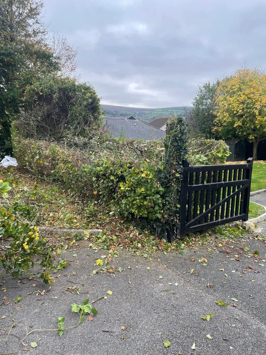 Wooden gate - Image 1