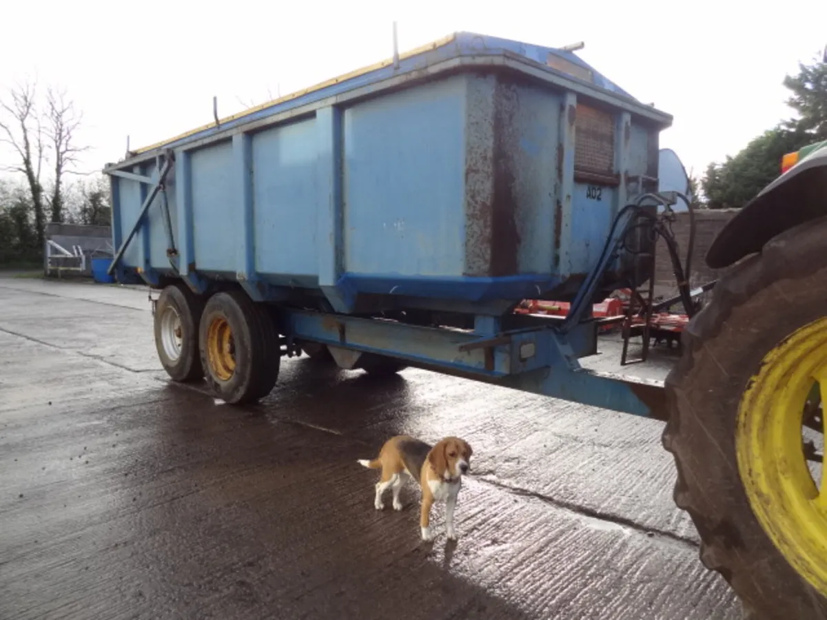 GT Bunning 12 Ton Tipping Grain Trailer - Image 1