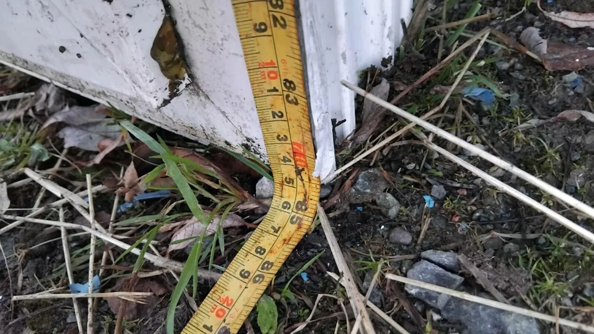 🌲Pvc patio door🌲 - Image 2