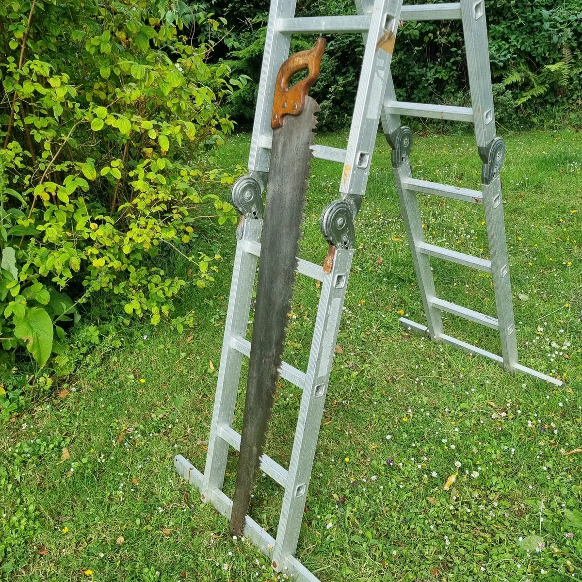 Vintage Crosscut Saw - Image 2