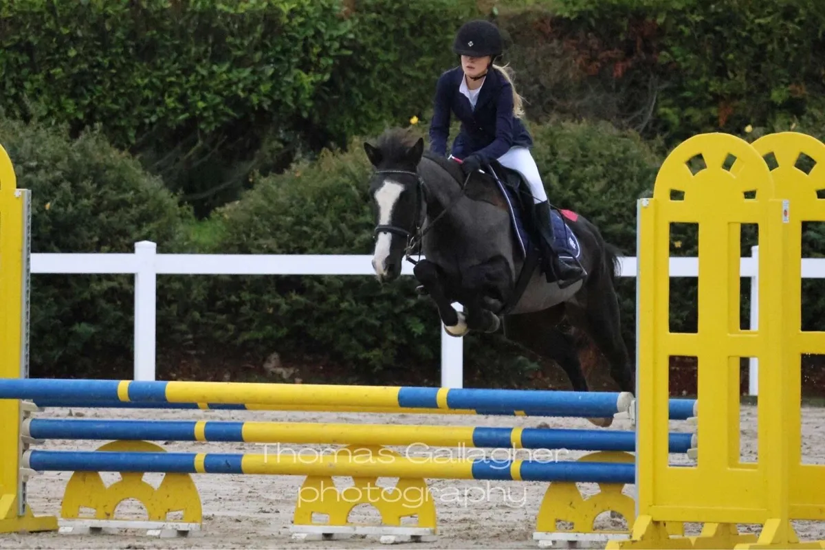 Pony for sale - Image 2