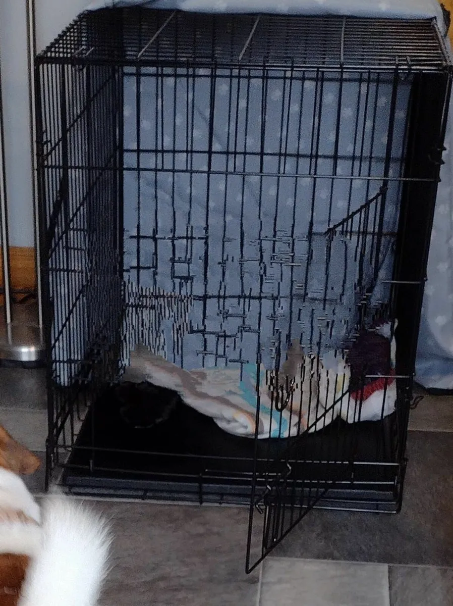 Cage and cover - Image 1