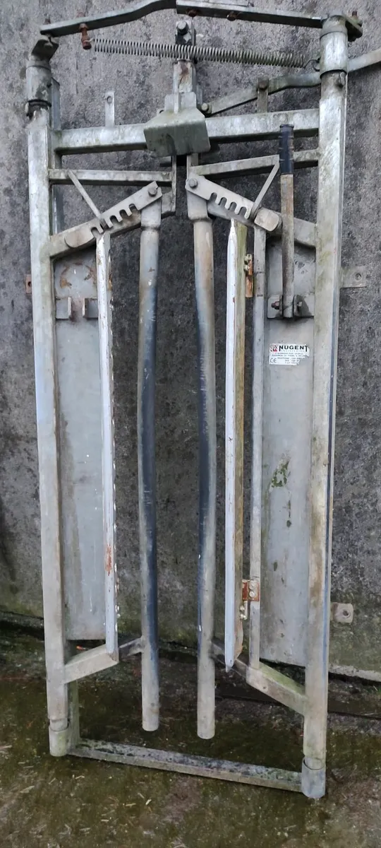 Cattle weighing scale and crush headstock gate - Image 4
