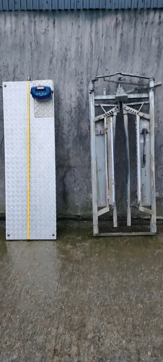 Cattle weighing scale and crush headstock gate - Image 1