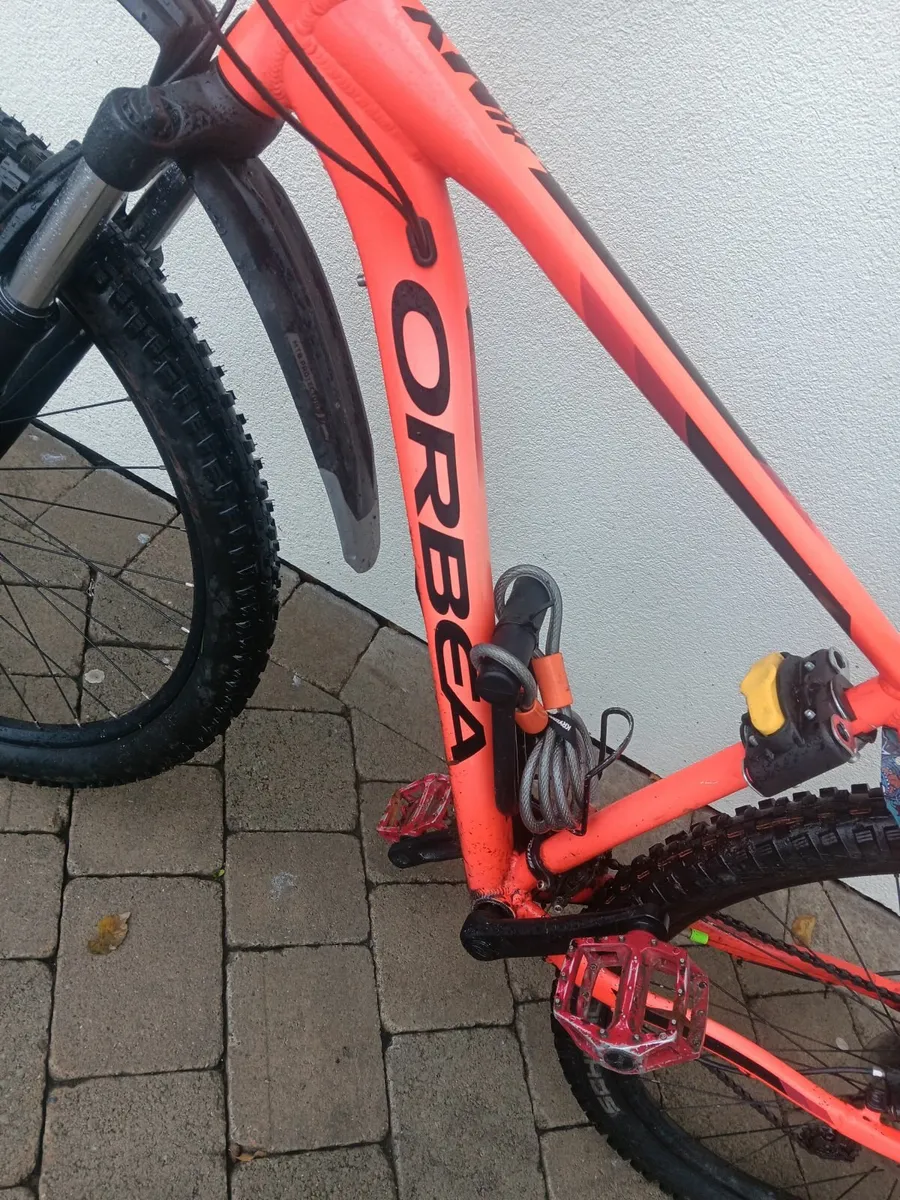 Orbea mx 40 - Image 3