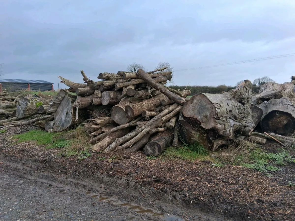 Hardwood Firewood - Image 2