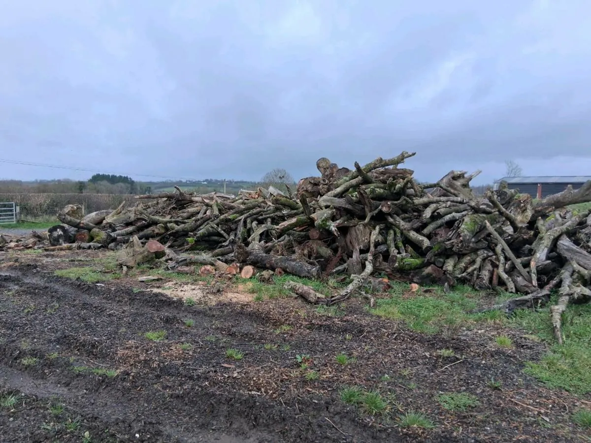 Hardwood Firewood - Image 4