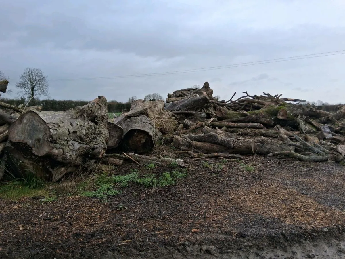 Hardwood Firewood - Image 1