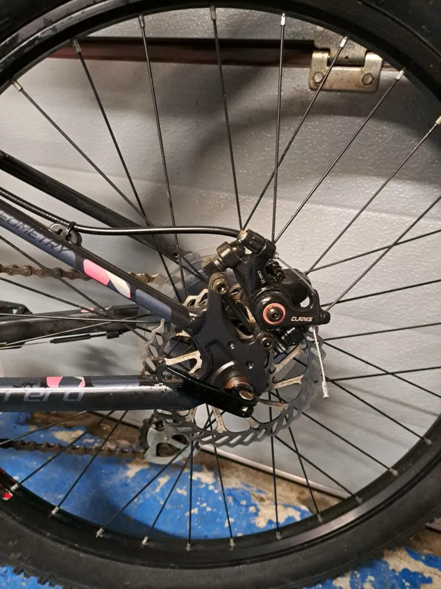 Carrera 24" girls bike - Image 3