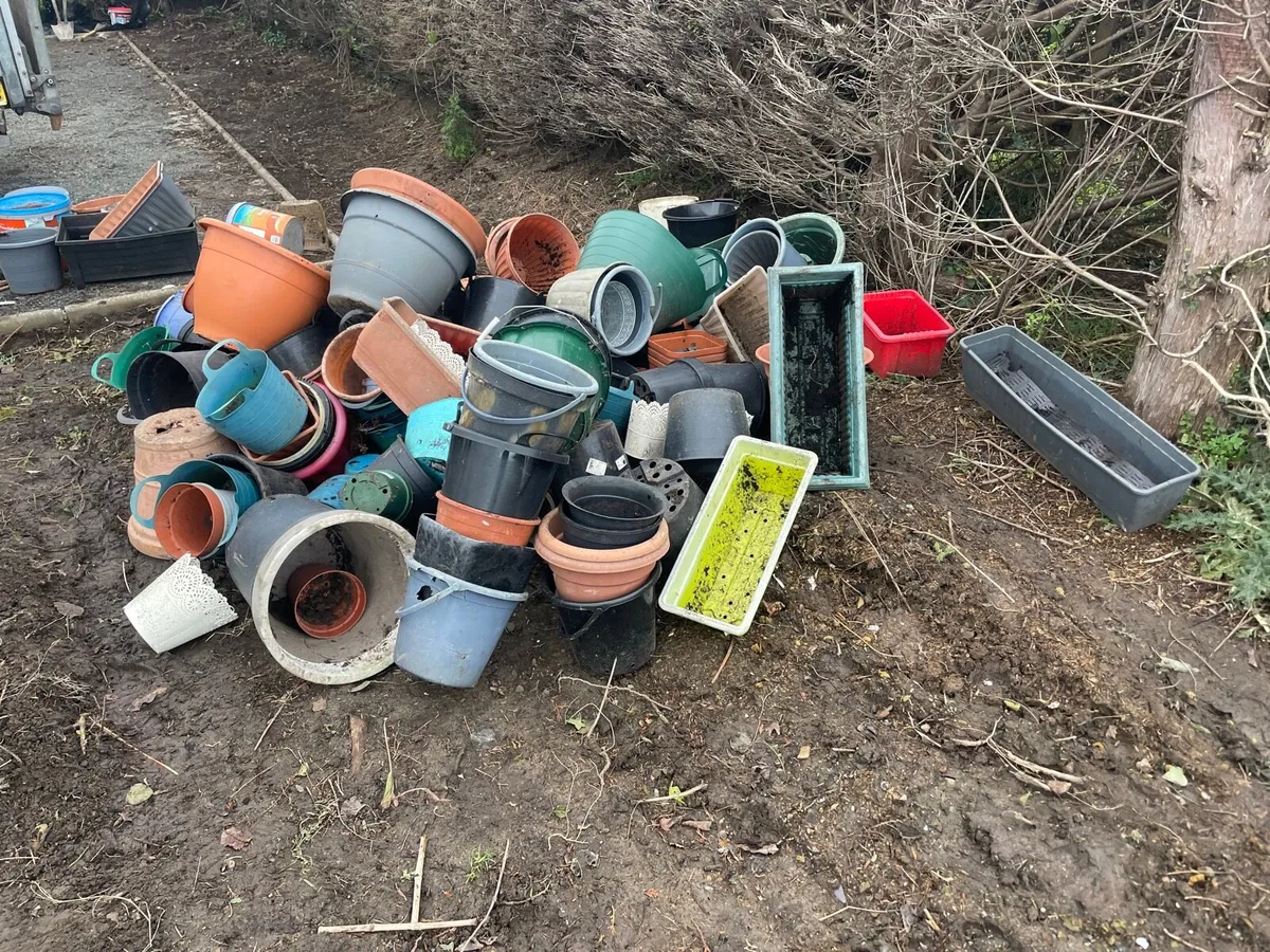 Plastic pot bundle €30 Job lot - Image 1