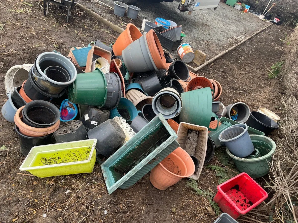 Plastic pot bundle €30 Job lot - Image 2