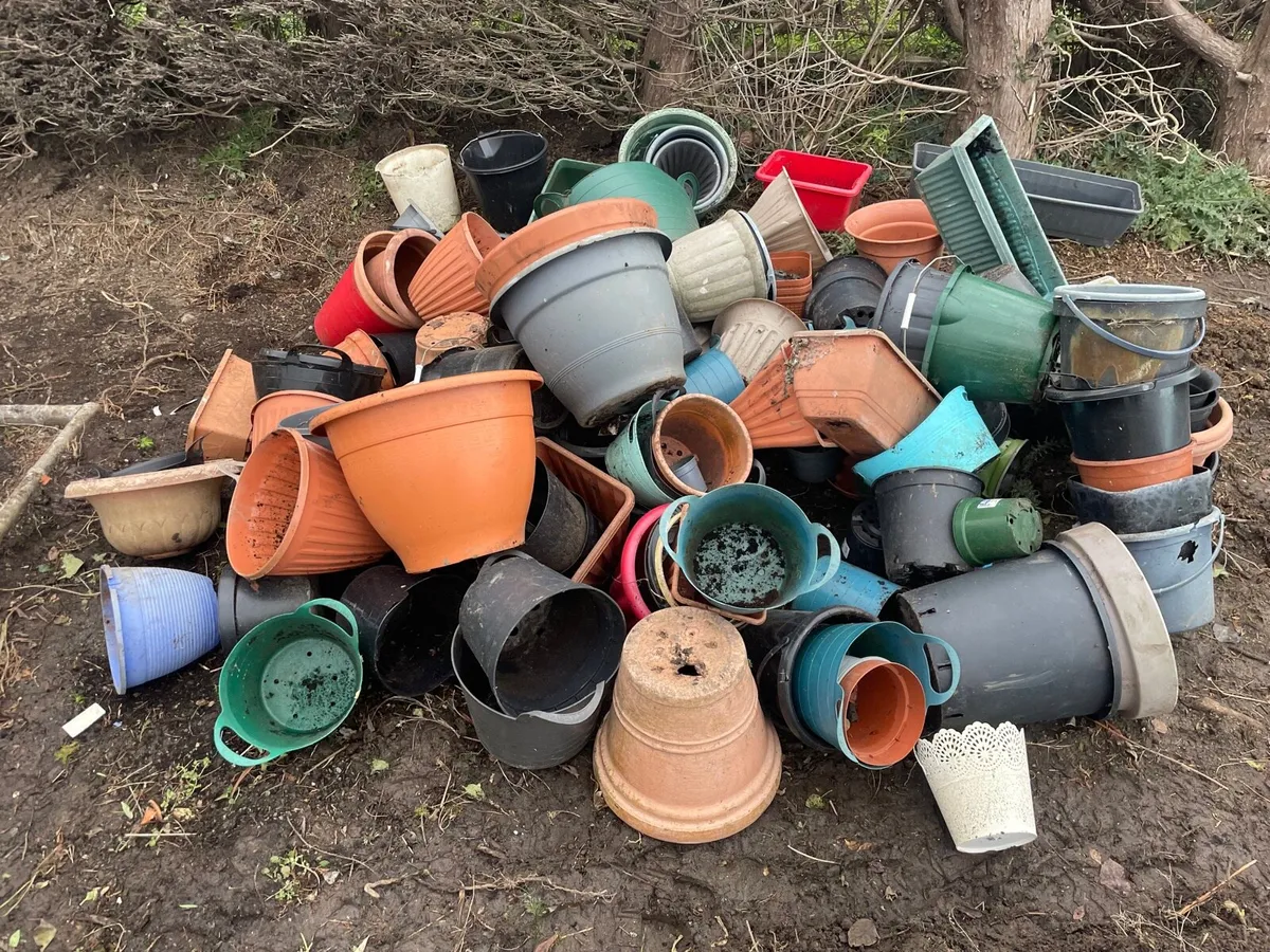Plastic pot bundle €30 Job lot - Image 3