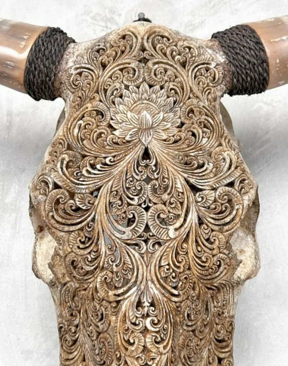 Large authentic brown bull skull Lotus motifs - Image 4