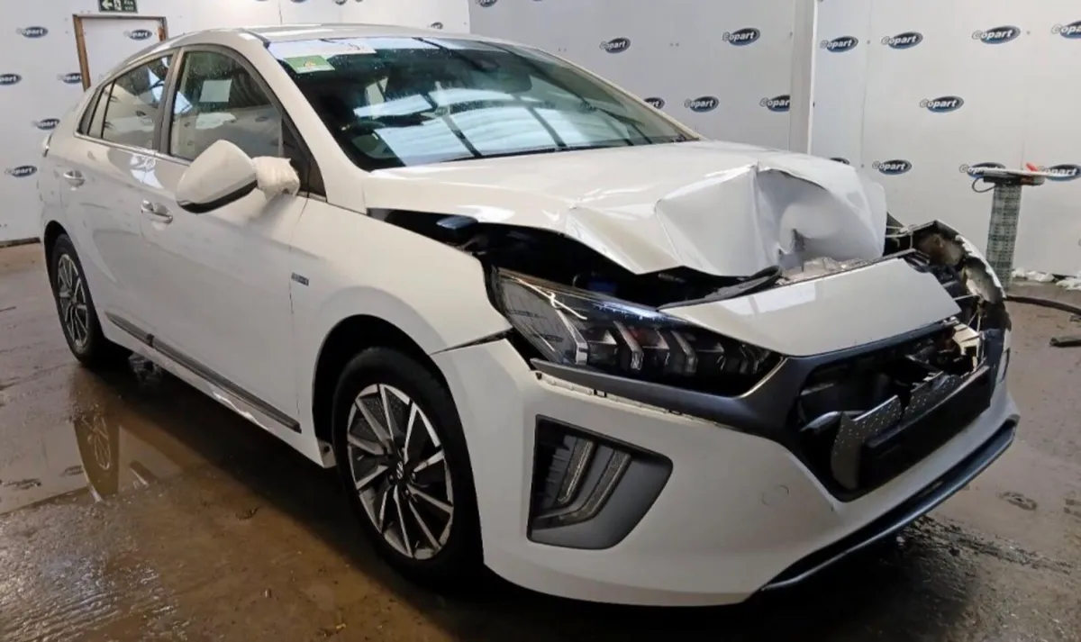 Ioniq electric 38.8 kv - Image 1