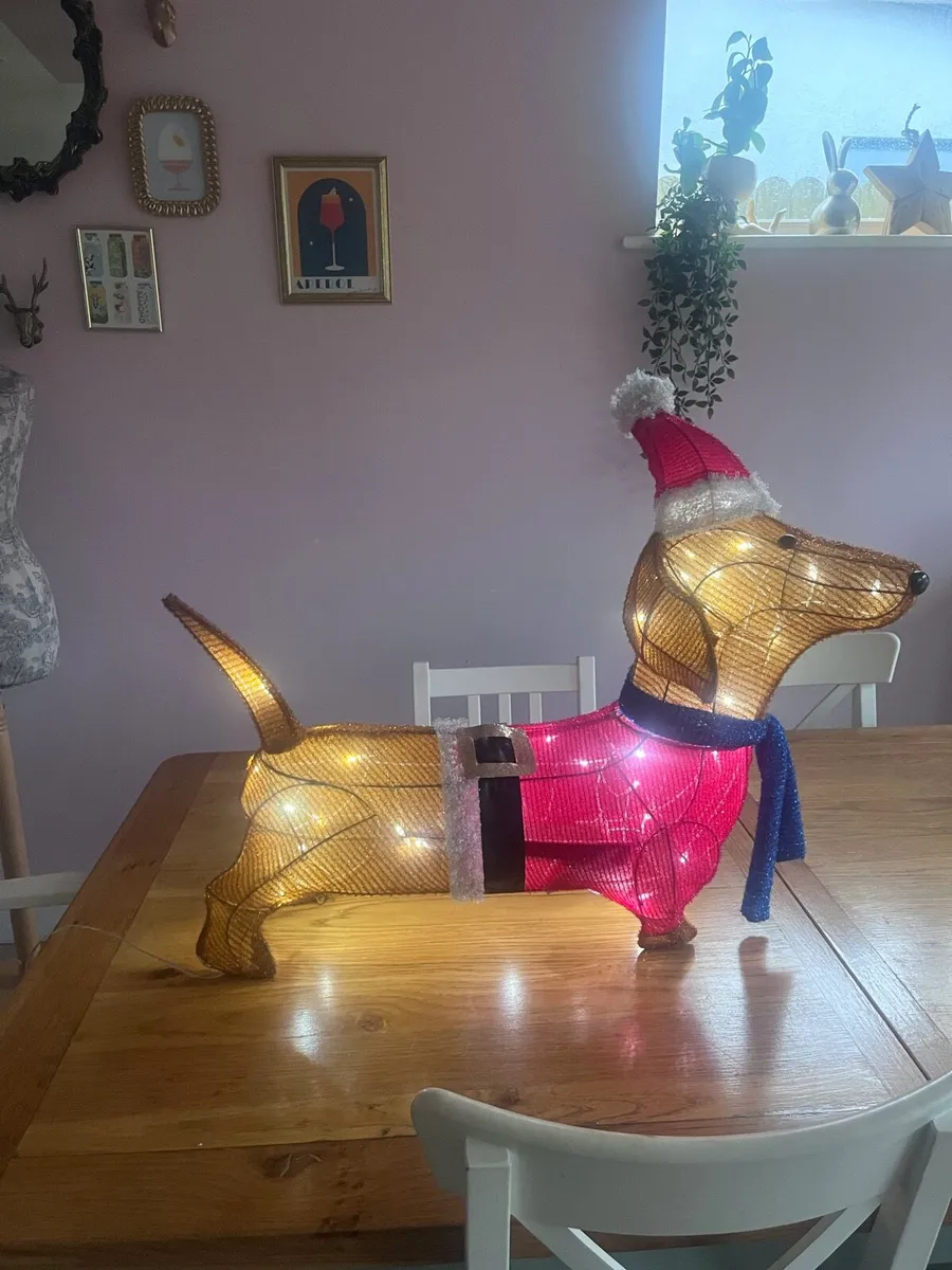 Light up Dachshund - Image 3