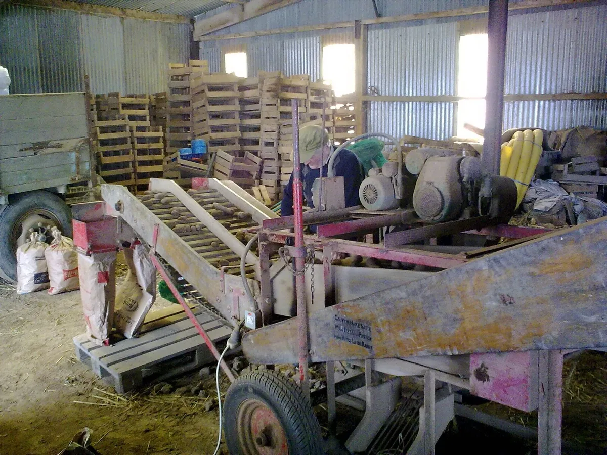 Potato grader - Image 1