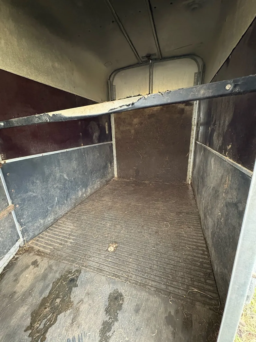 Ivor Williams Hunter 505 Horsebox - Image 3