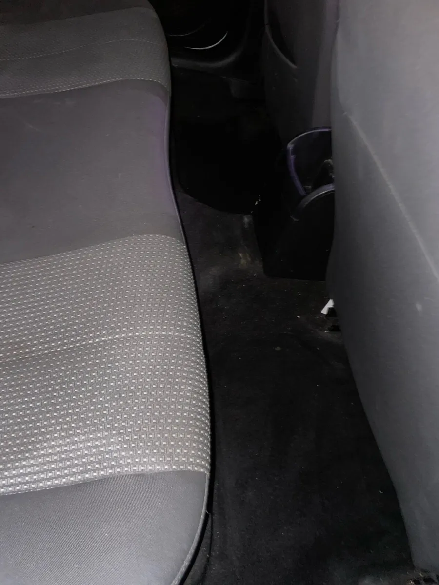 Sean Leon 2011 - Image 4