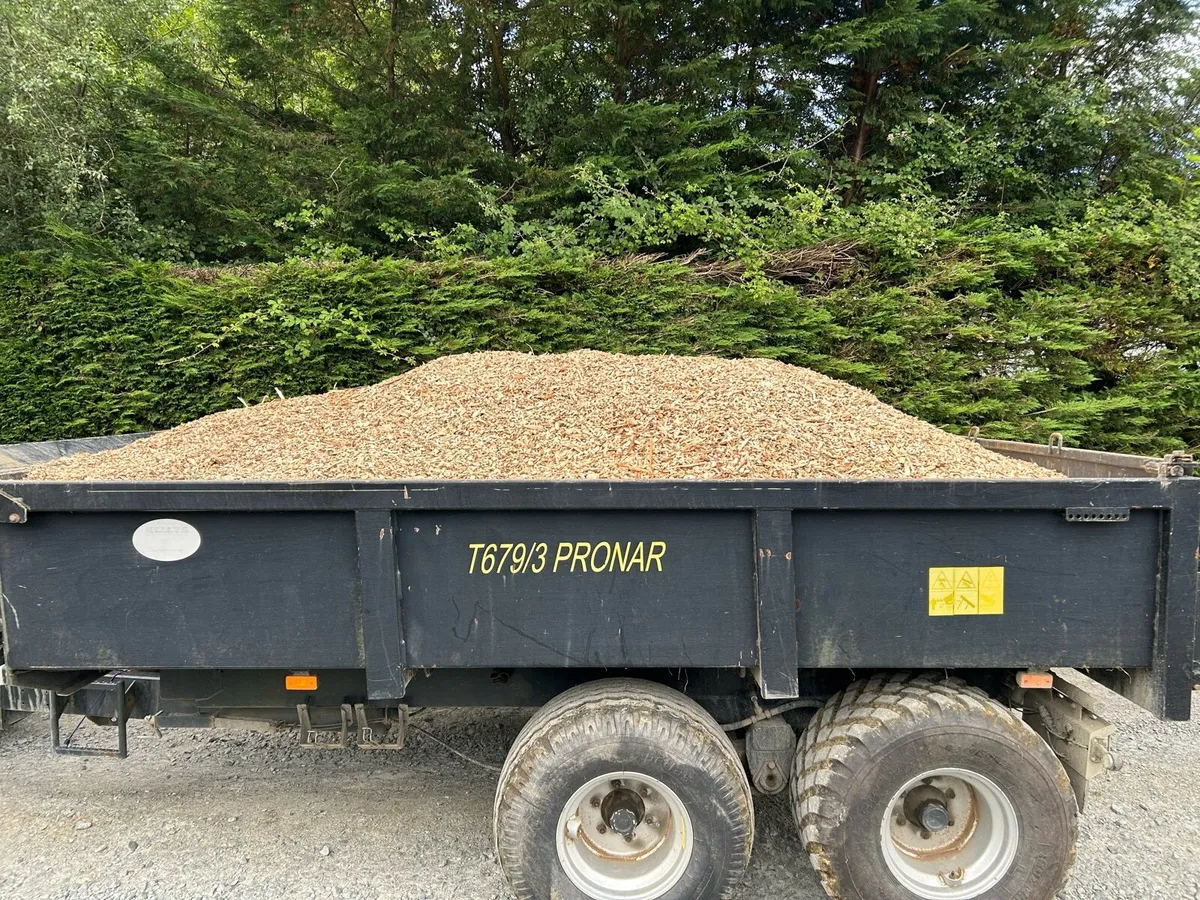 Wood chip - Image 1