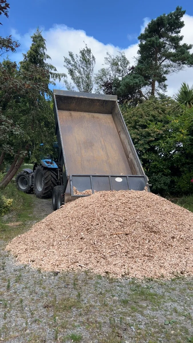 Wood chip - Image 2