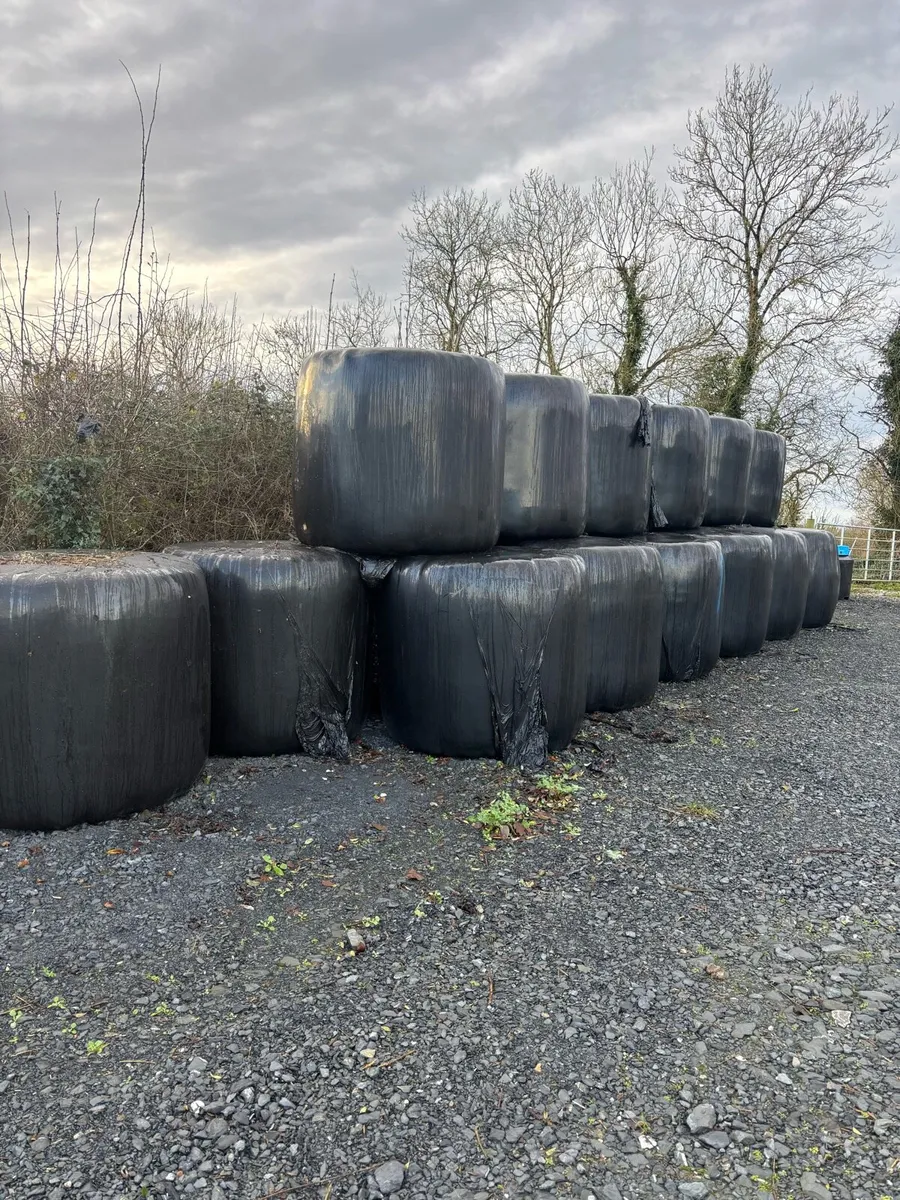 Haylage bales - Image 1
