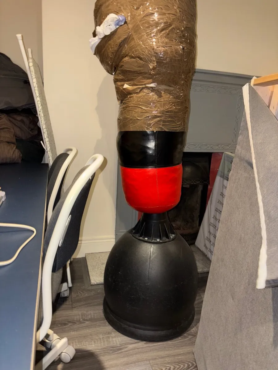 Boxing bag - Image 1
