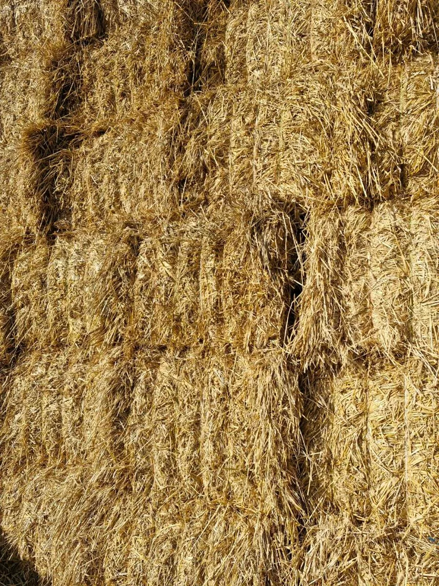 4x4 Barley straw - Image 2