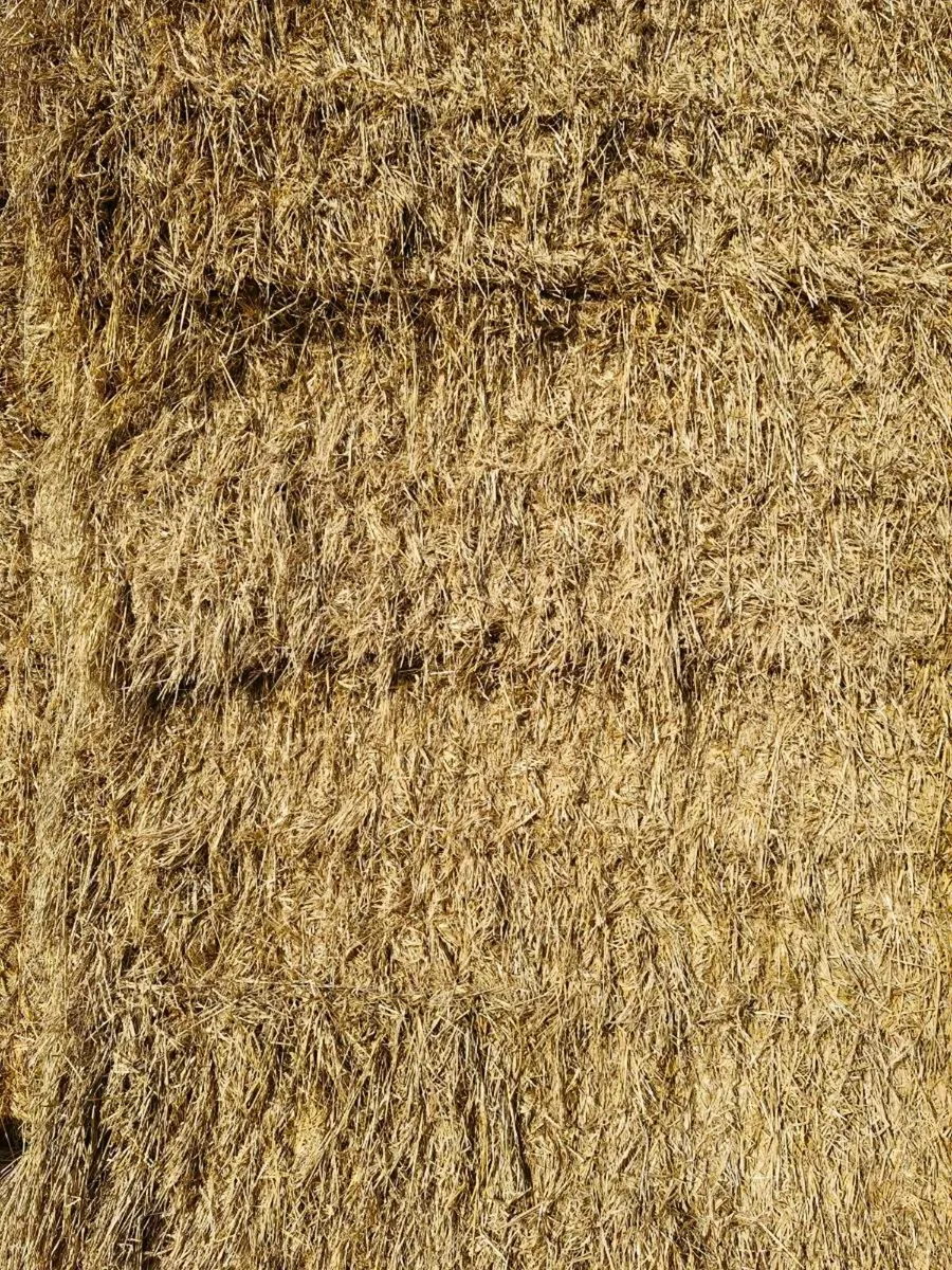 4x4 Barley straw - Image 3