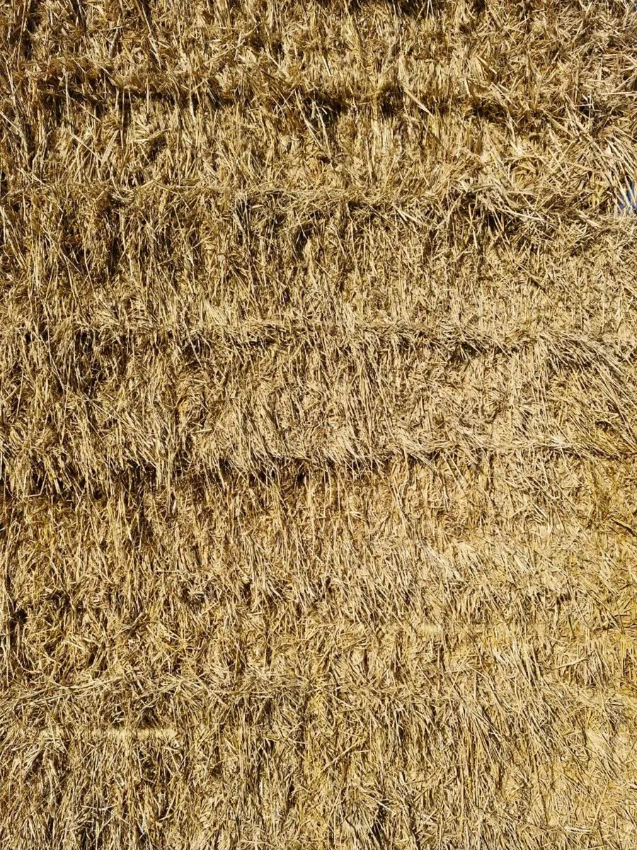4x4 Barley straw - Image 4