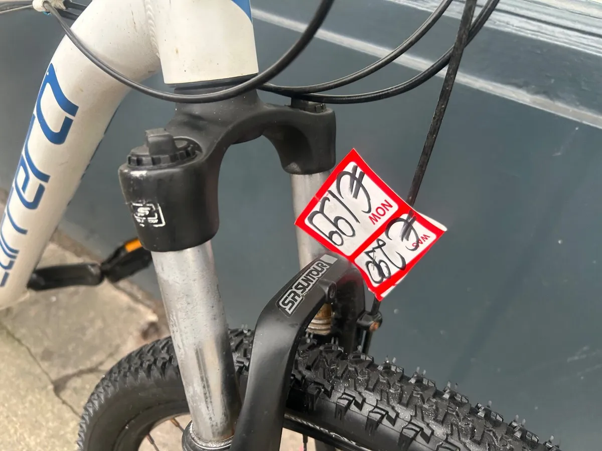 Carrera Hustle ❗️Open 7 days of the week ❗️ - Image 2