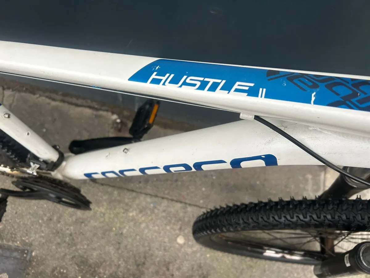 Carrera Hustle ❗️Open 7 days of the week ❗️ - Image 4