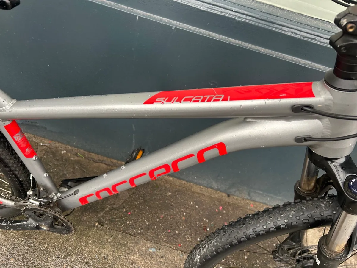 Carrera Sulcata ❗️Open 7 days  of the week ❗️ - Image 3