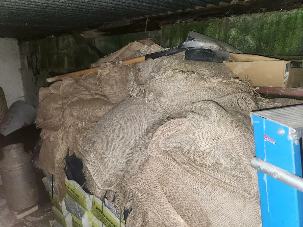 Lime render - Image 2