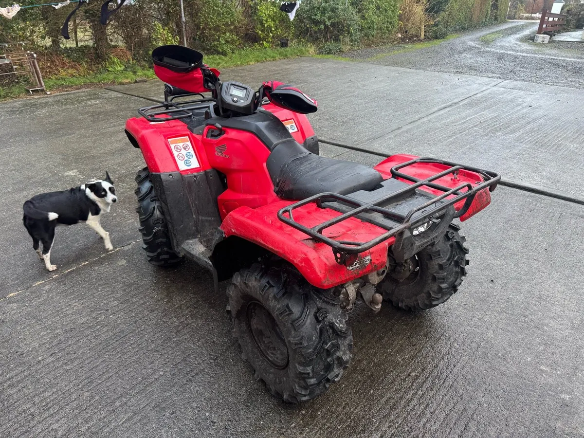 2018 Honda TRX 420 - Image 4